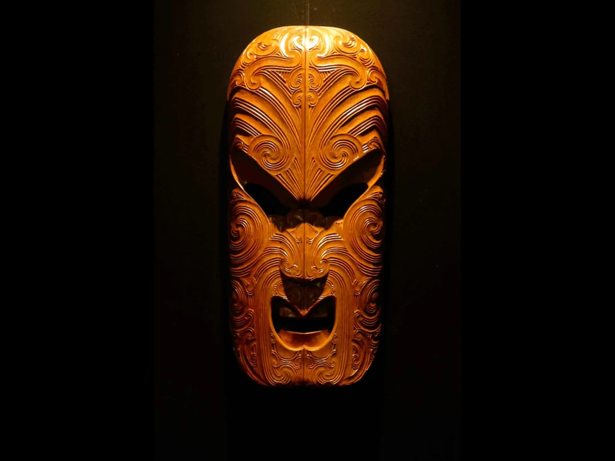 He Puna Tohunga | The Well of Master Creatives: Exhibition gallery image 5