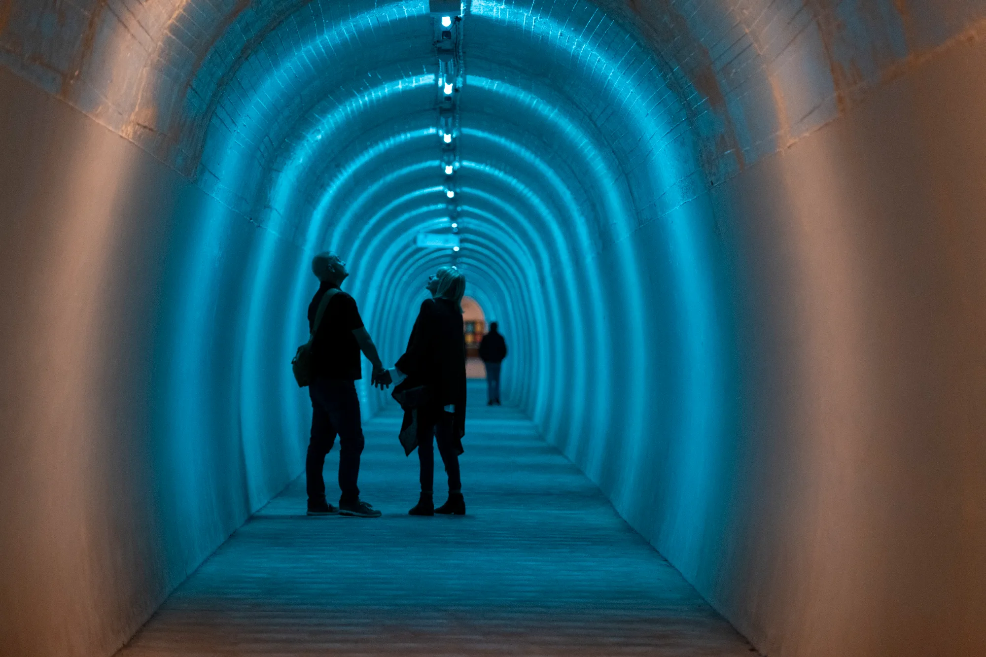 Celebrating how design shapes life in New Zealand and beyond. gallery image 2